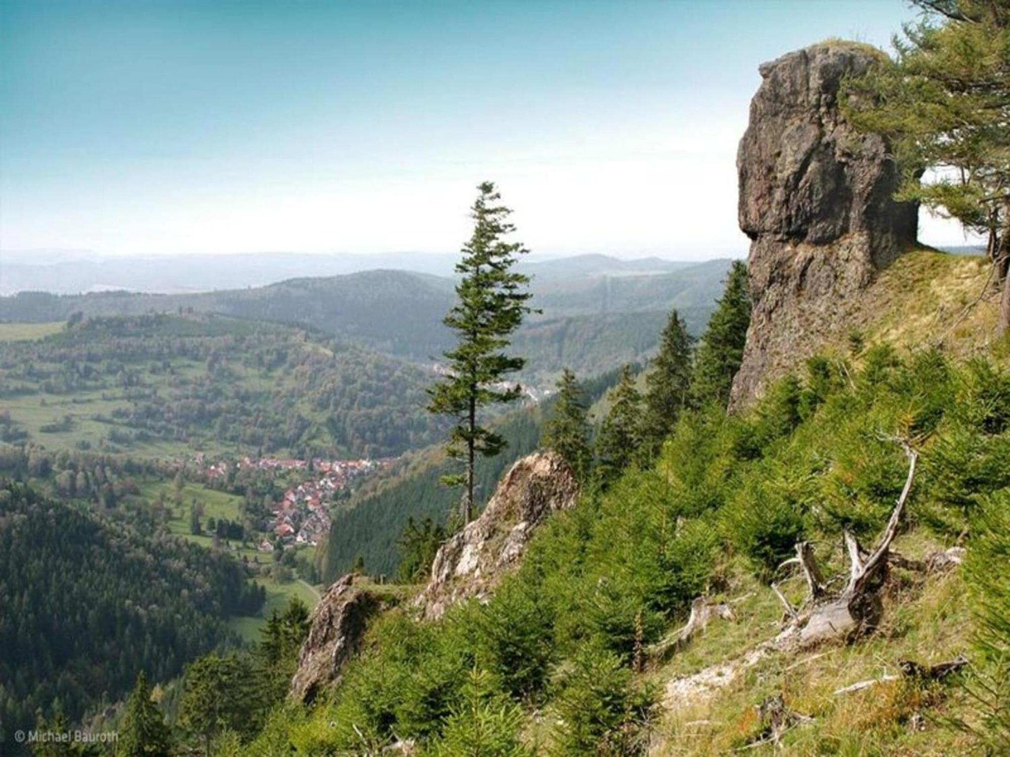 Vacation Home Am Hermannsberg, Oberschoenau Oberschonau Kültér fotó